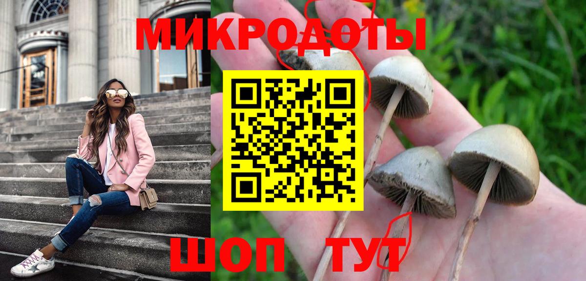 Галлюциногенные грибы Psilocybine cubensis Советская Гавань