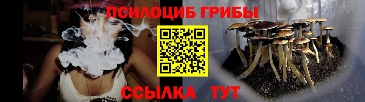 Советская Гавань  Галлюциногенные грибы GOLDEN TEACHER  Вход с VPN 
